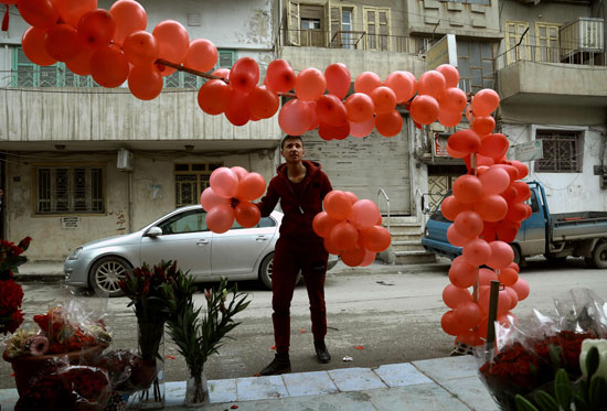 شاب يعلق البالونات الحمراء فى سوريا احتفالًا بعيد الحب