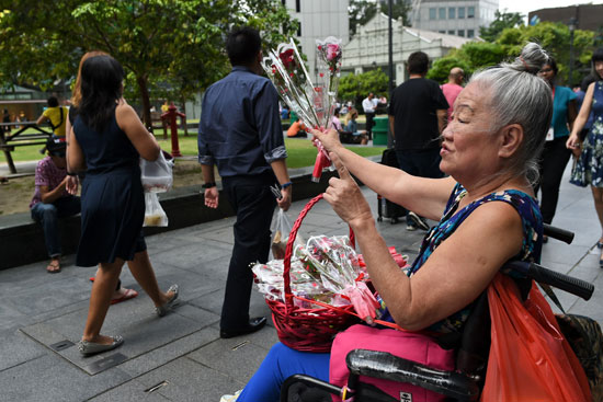 عجوز تبيع الورود فى سنغافورة بمناسبة عيد الحب