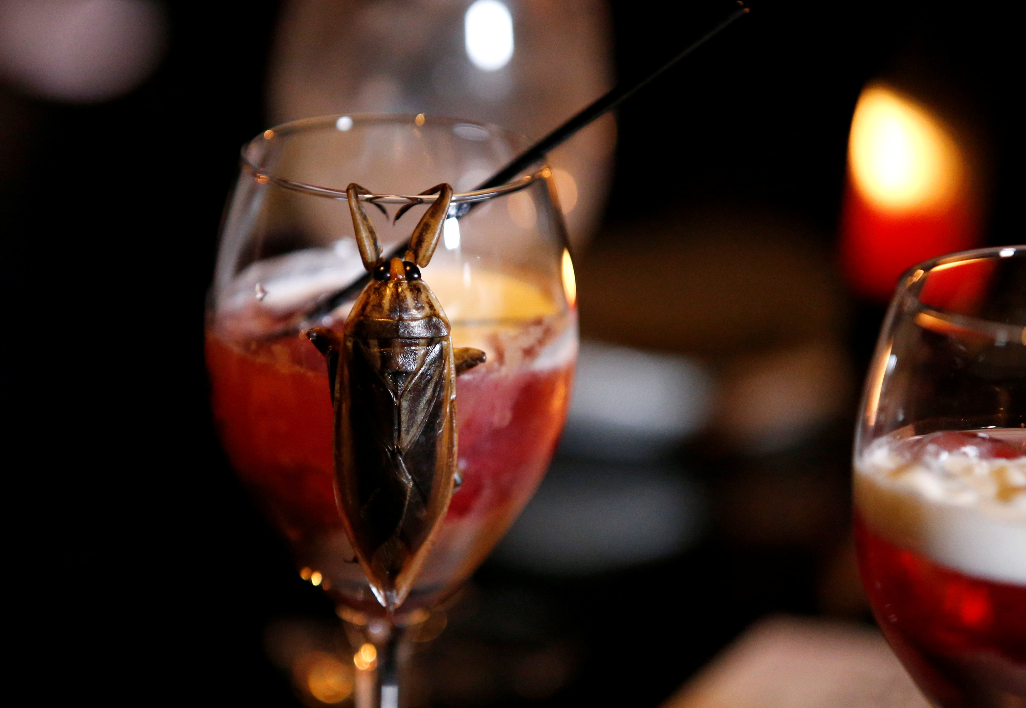 مشروب كوكتيل يحتوى حشرات فى احتفالات عيد الحب باليابان