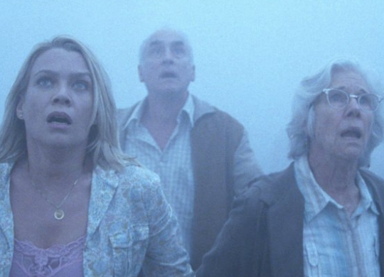 the mist