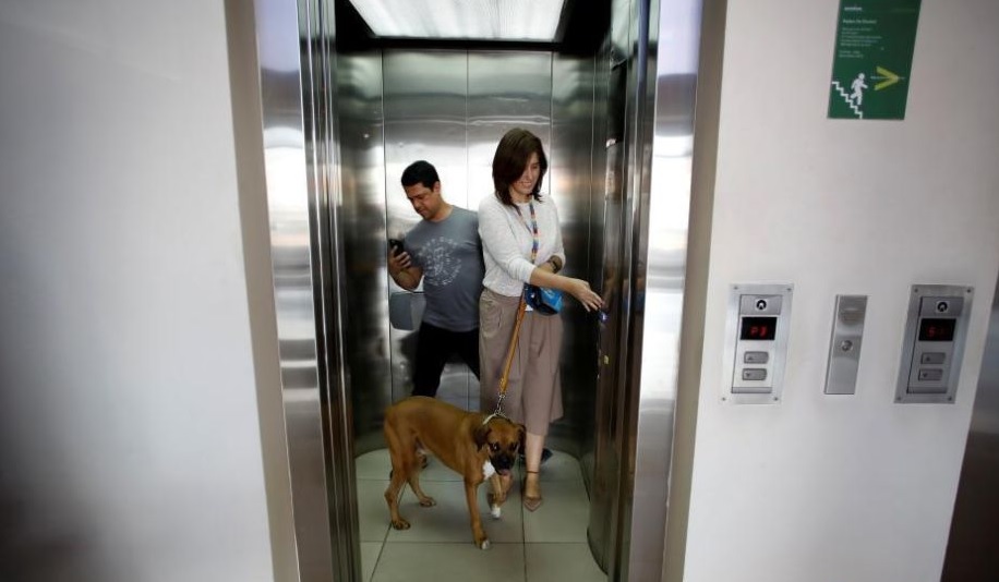 موظفه تصطحب الكلب فى المصعد للعمل