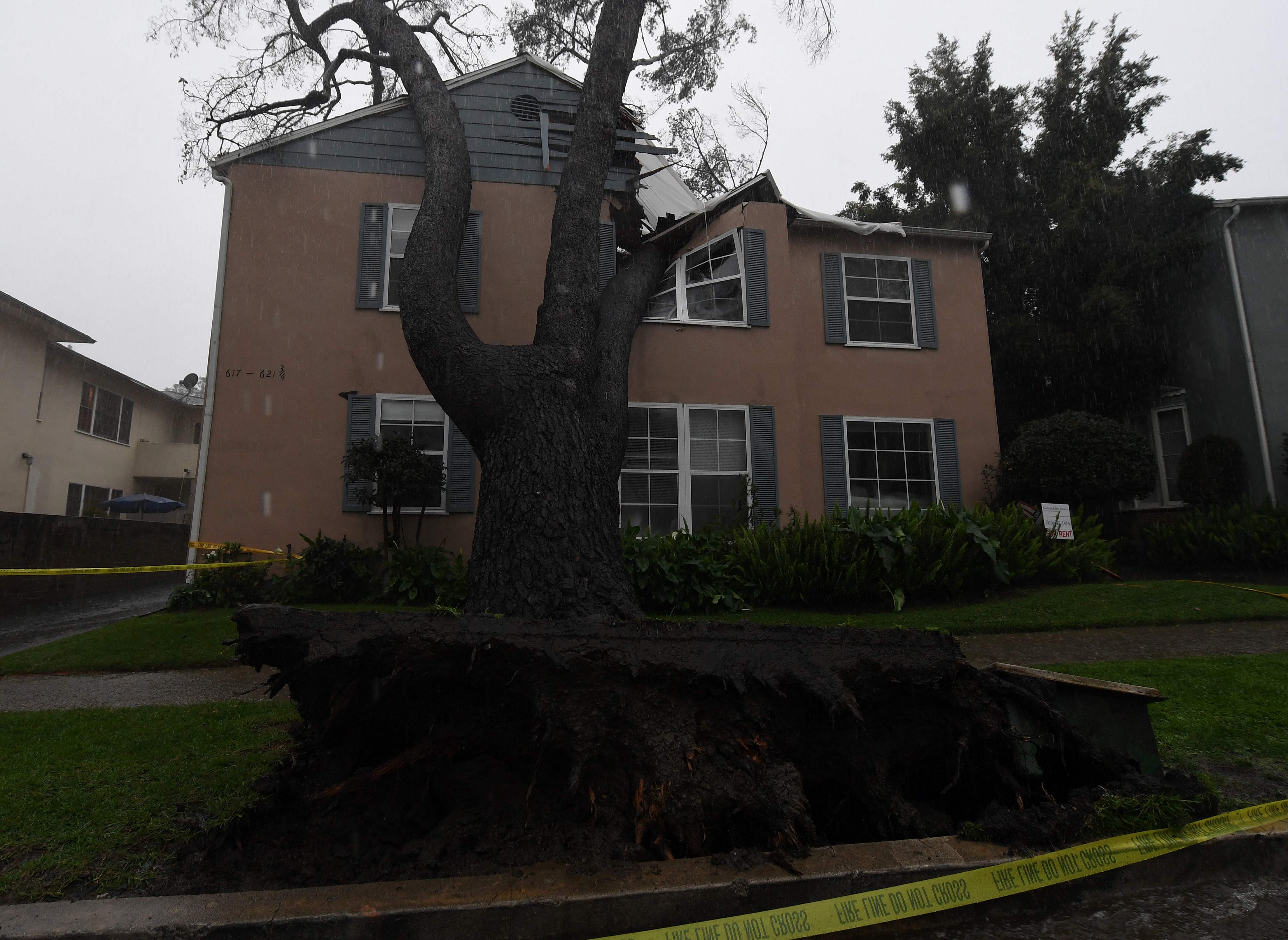 سقوط شجرة ضخمة فى أحد أحياء ولاية كاليفورنيا بسبب العاصفة