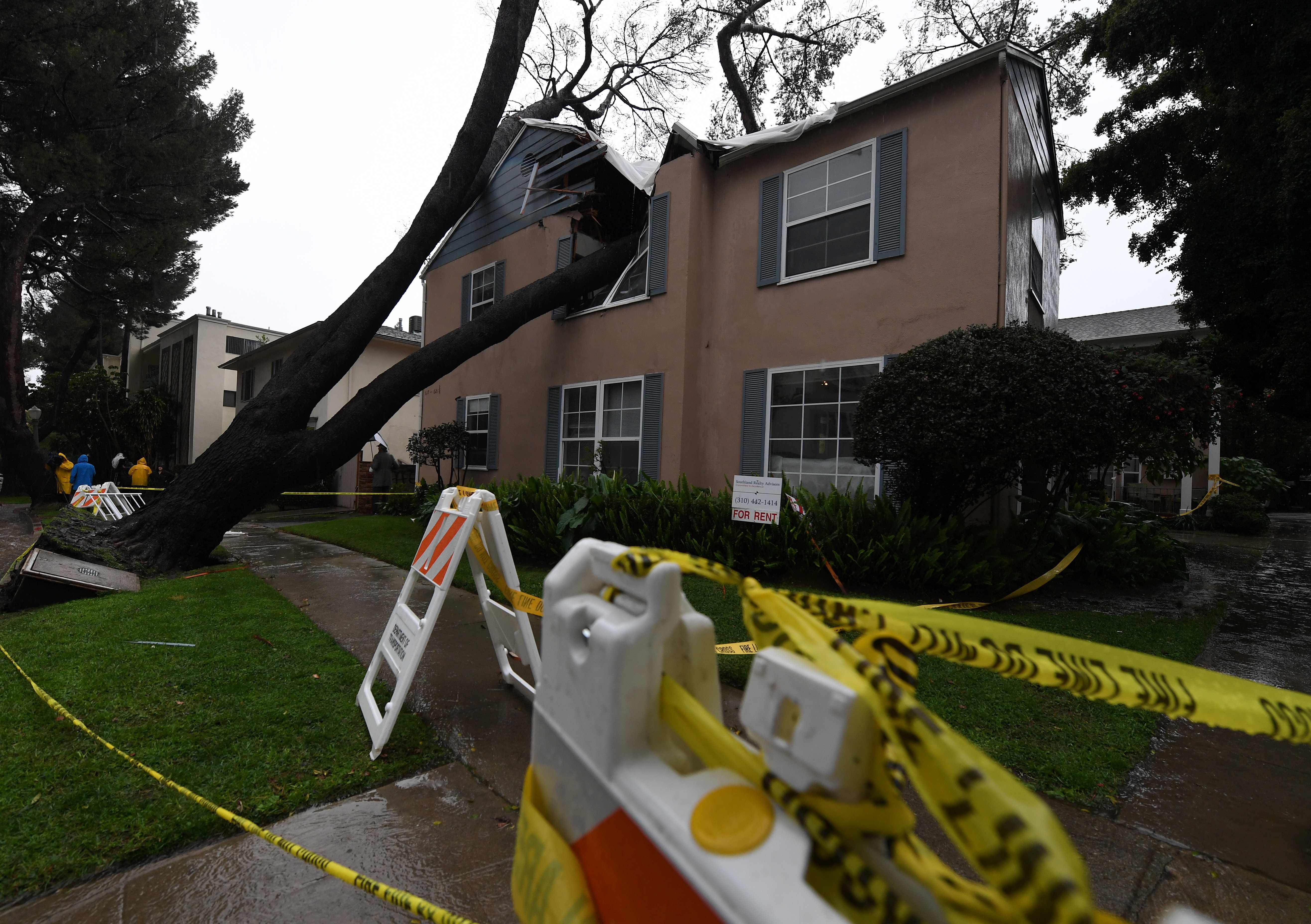 اغلاق الطريق إلى منزل محطم بسبب سقوط شجرة عليه نتيجة العاصفة