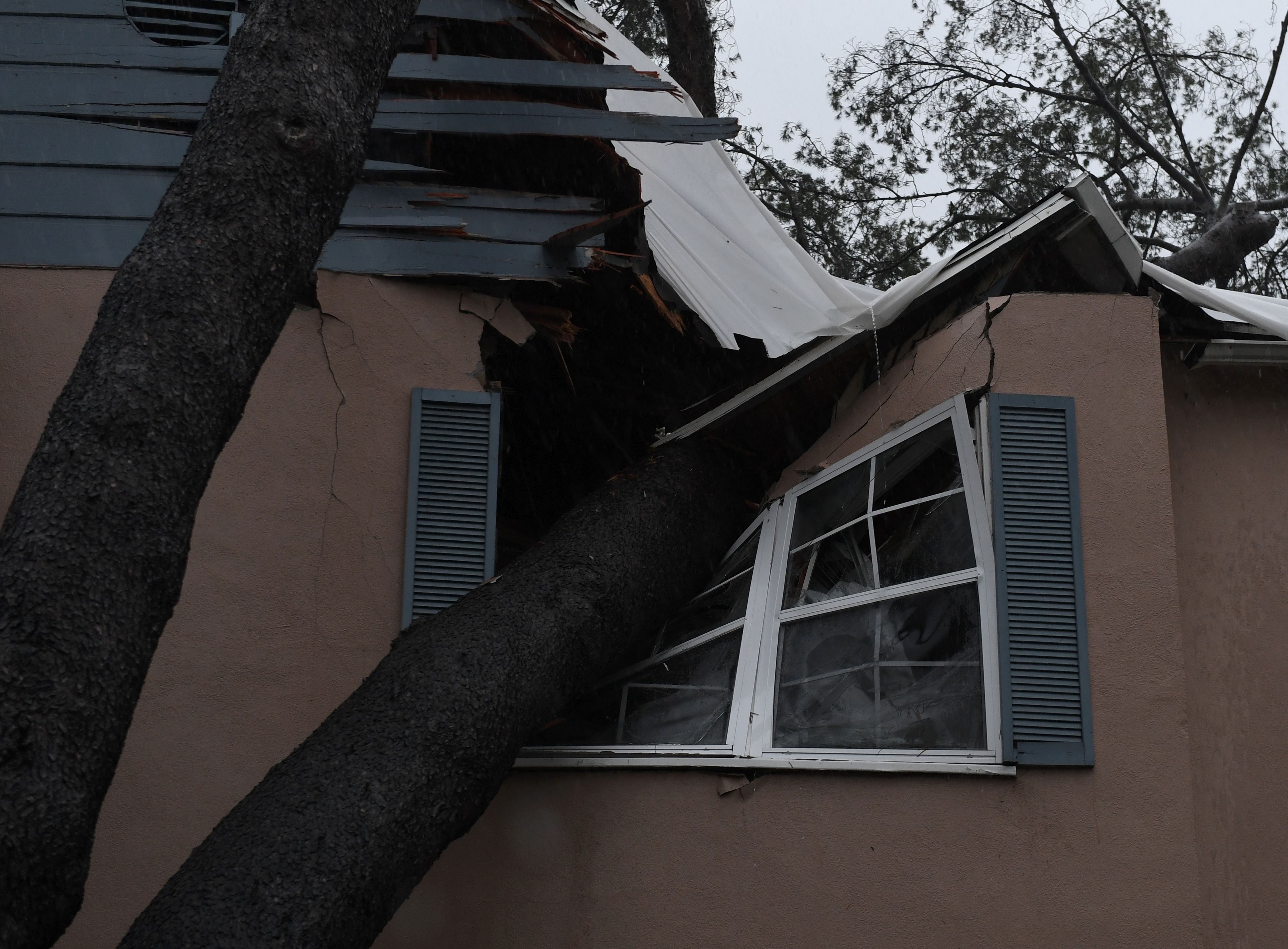 شجرة ضخمة تحطم منزل بعد سقوطها نتيجة عاصفة شديدة