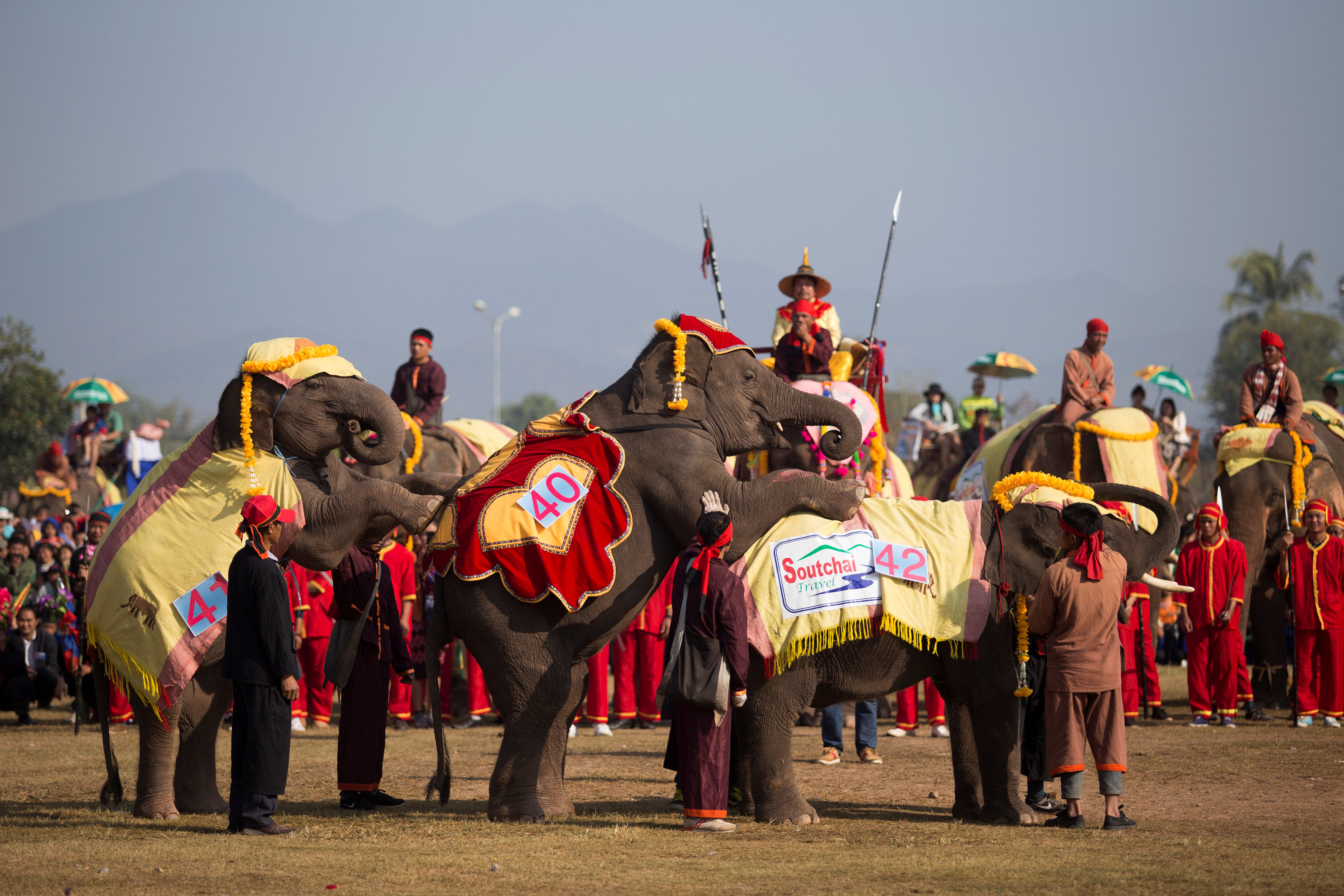ألعاب الفيلة المشاركة فى موكب بدولة لاوس