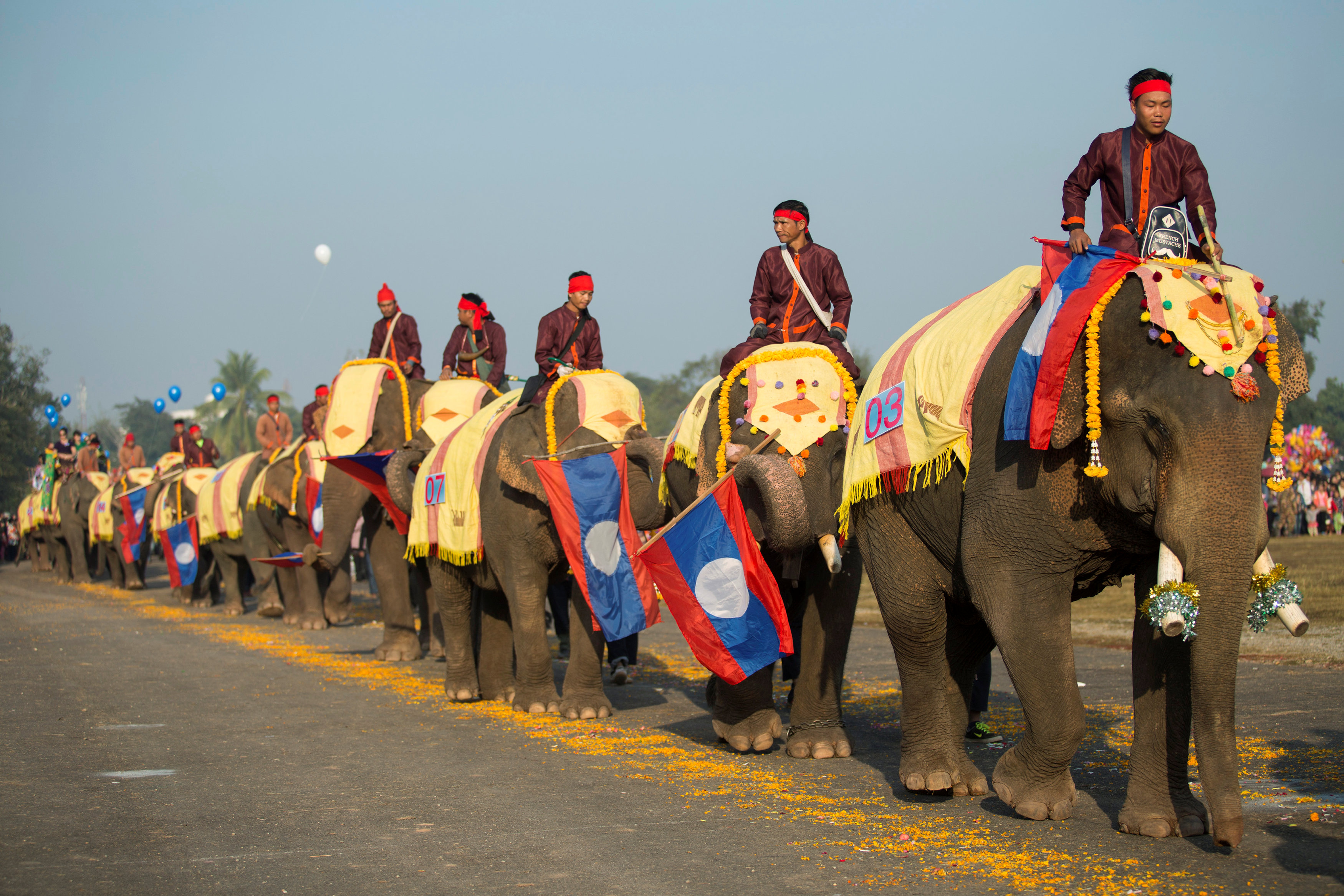 فيلة يحملون أعلام دولة لاوس فى موكب