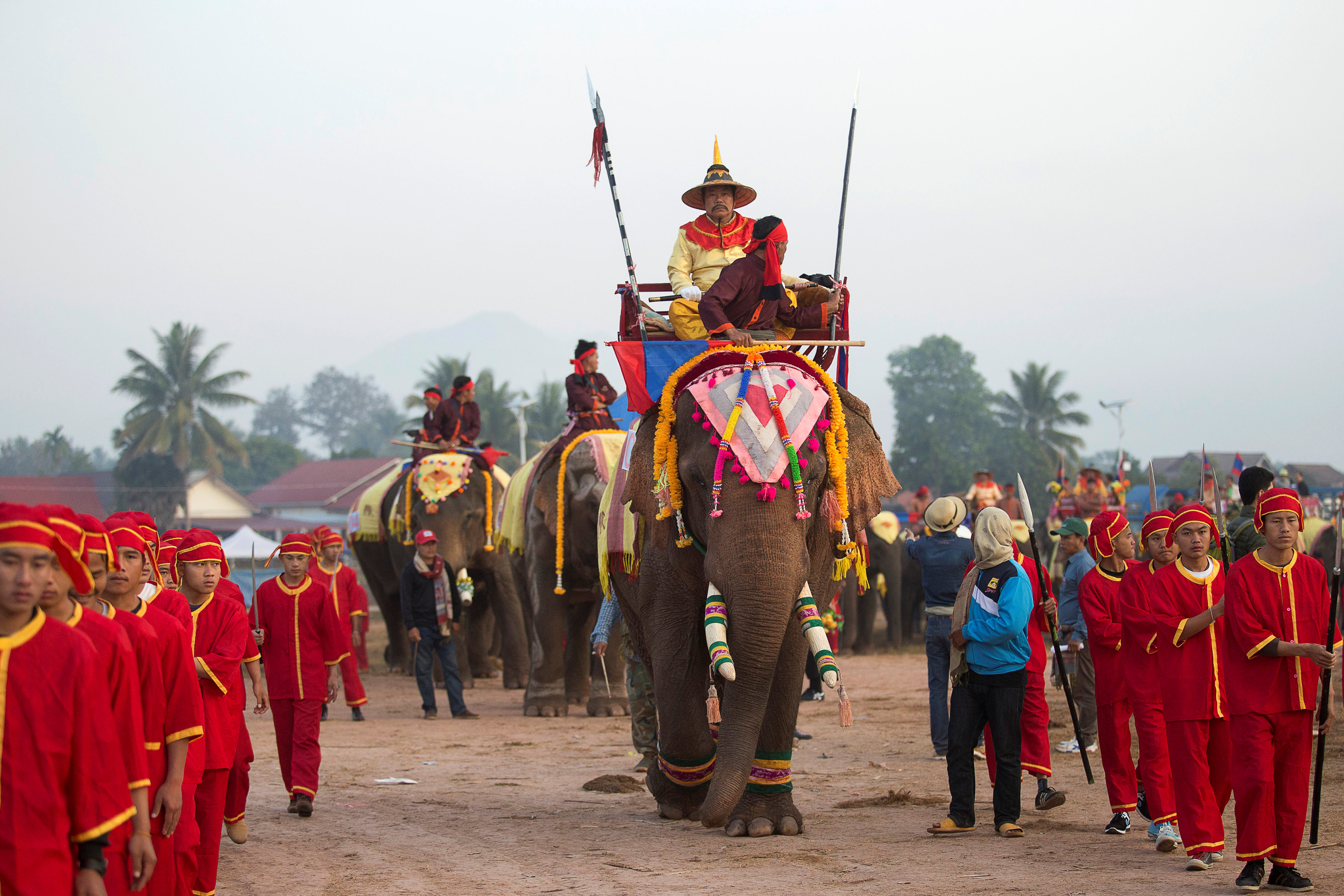 70 فيلًا يشاركون فى مسيرة موكب مهيبة فى لاوس