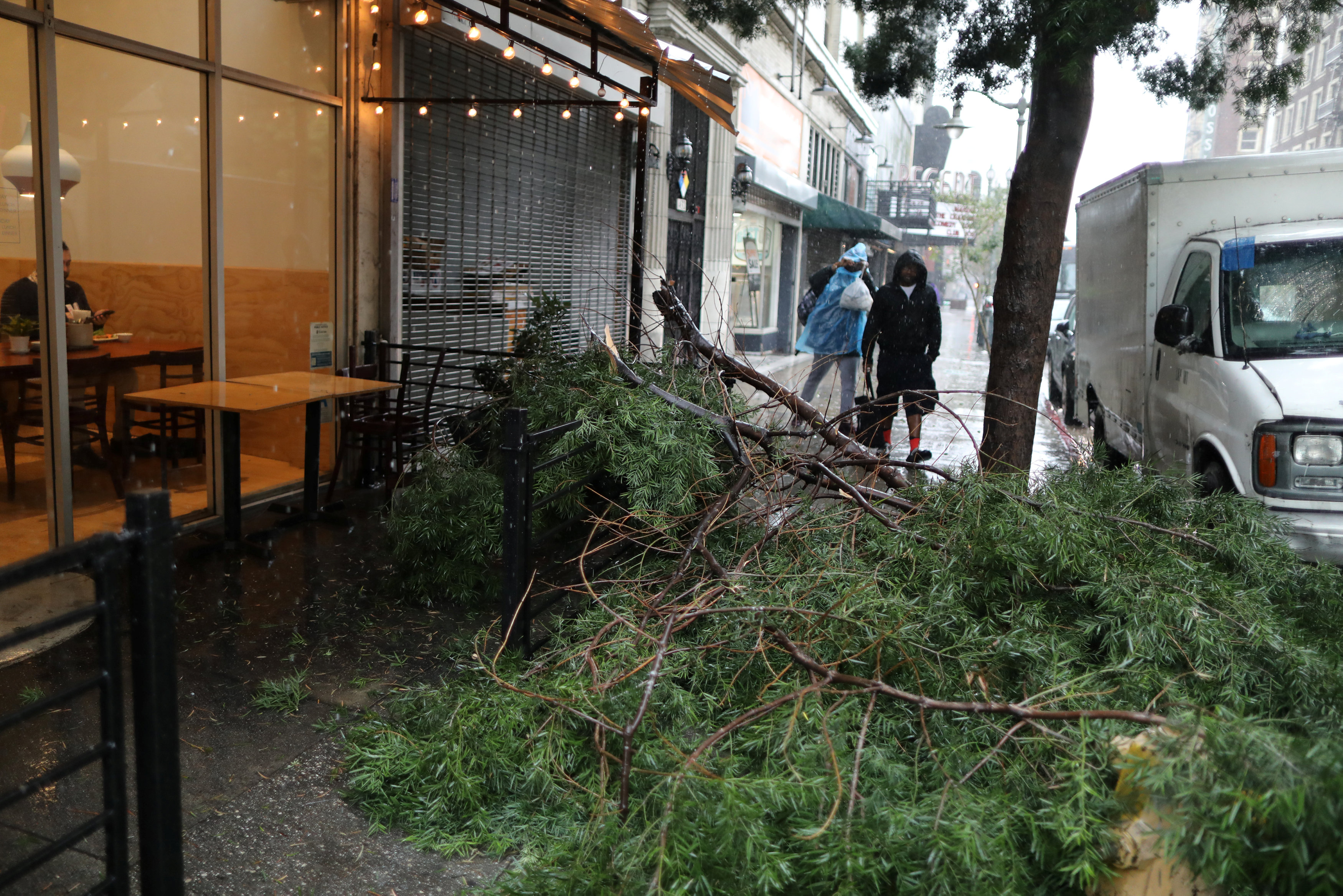 عاصفة فى كاليفورنيا تسقط الأشجار فى الشوارع العامة