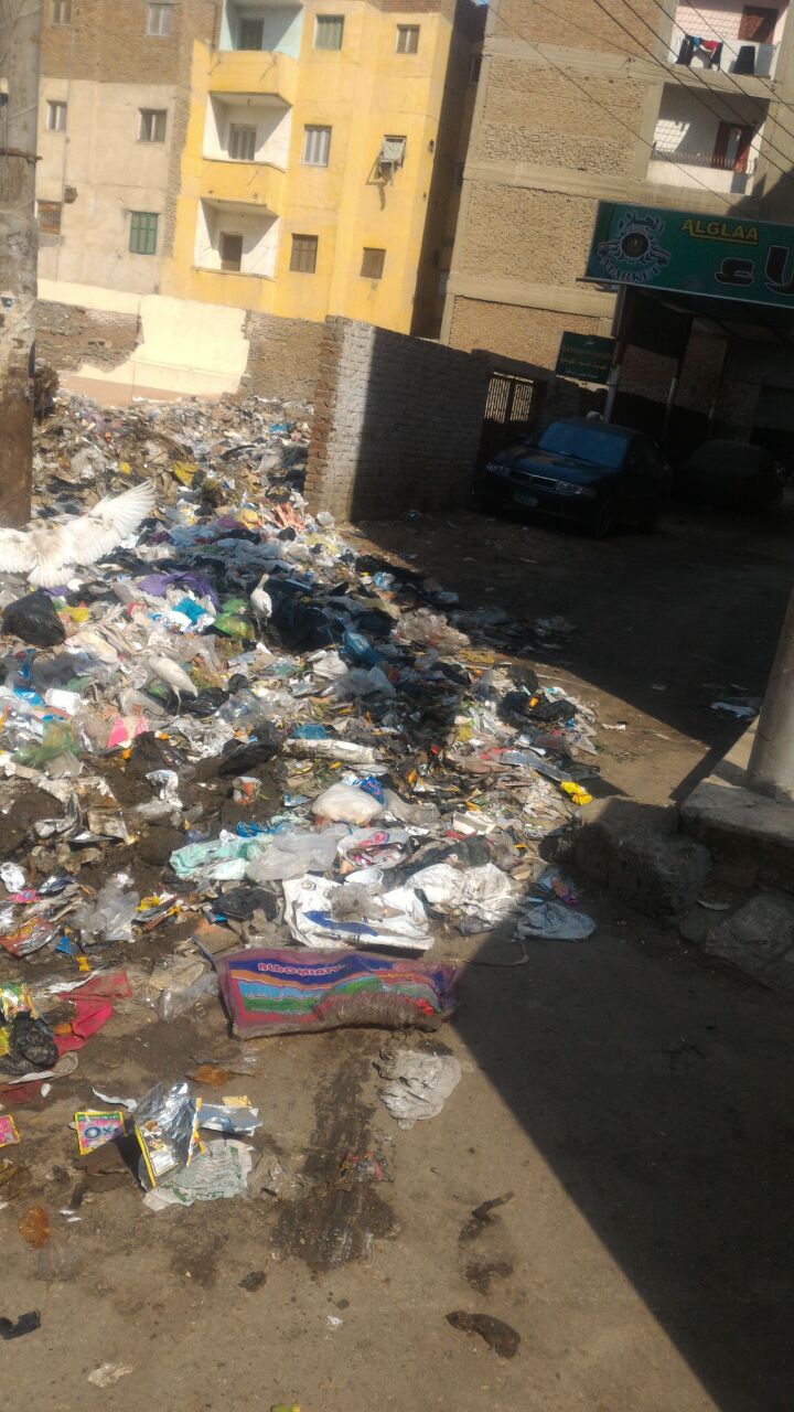 القمامة تتراكم بشارع بورسعيد