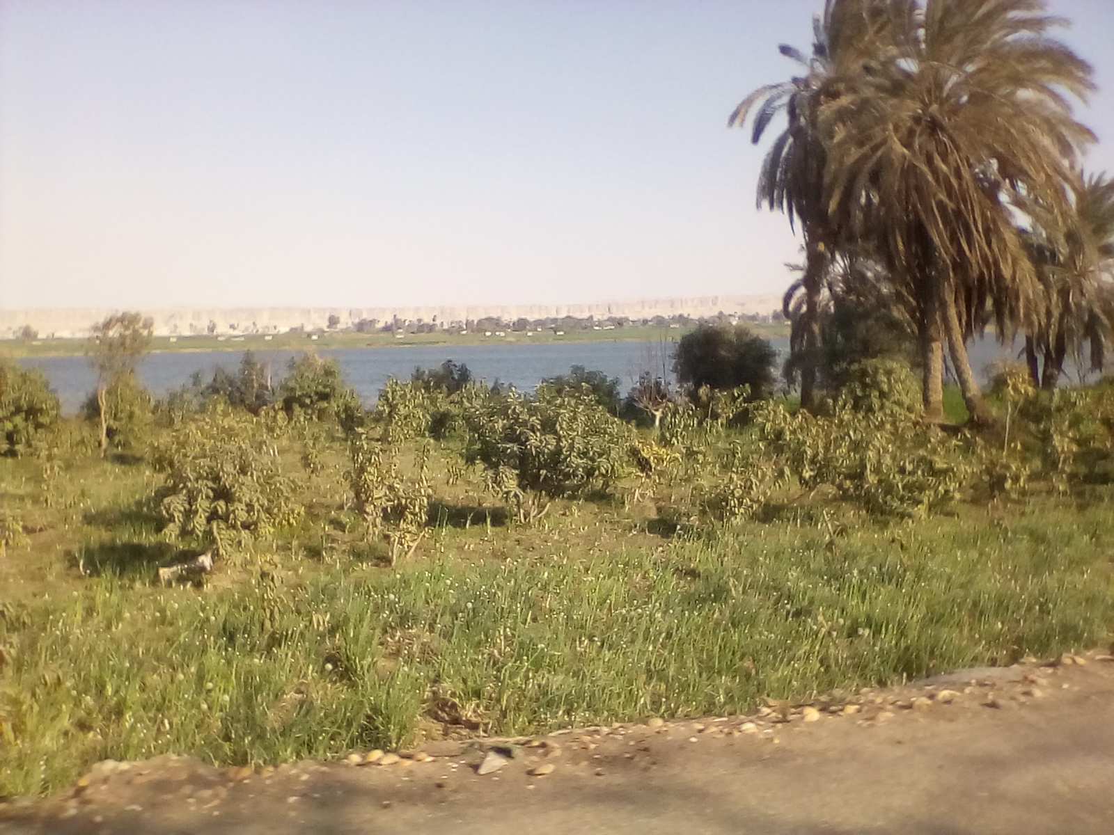 التعديات علي النيل 3