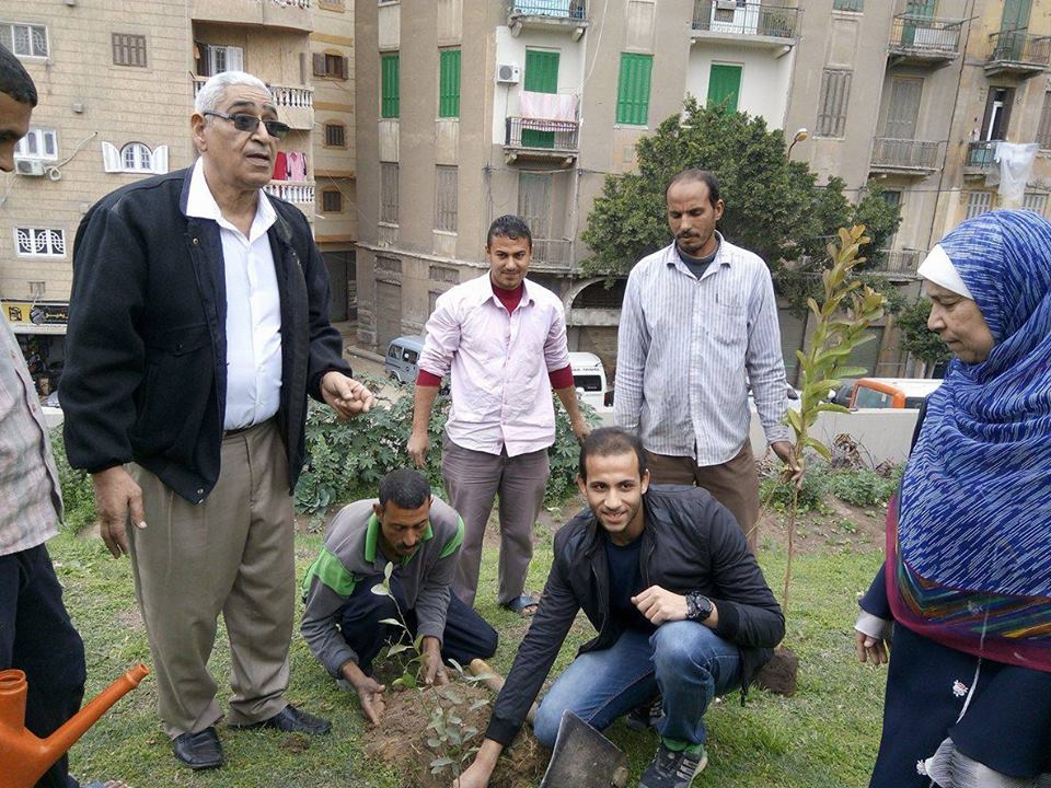 زراعة الاشجار بجامعة الإسكندرية