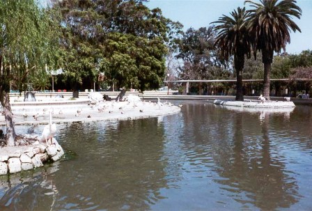المياه فى حدائق أنطونيادس
