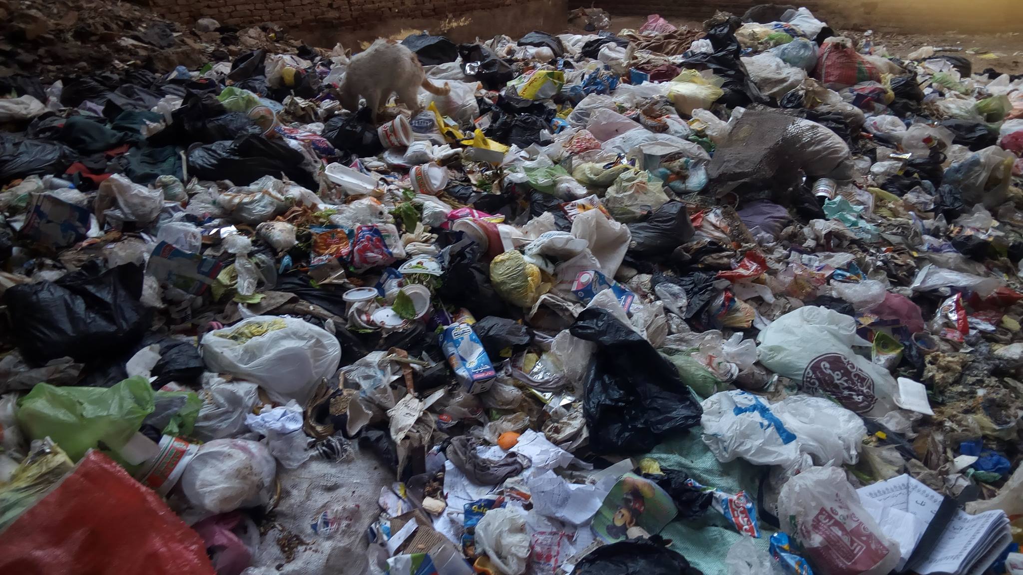 القمامة فى شوراع قرية منطى