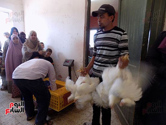  المواطنون أثناء شراء الدواجن 