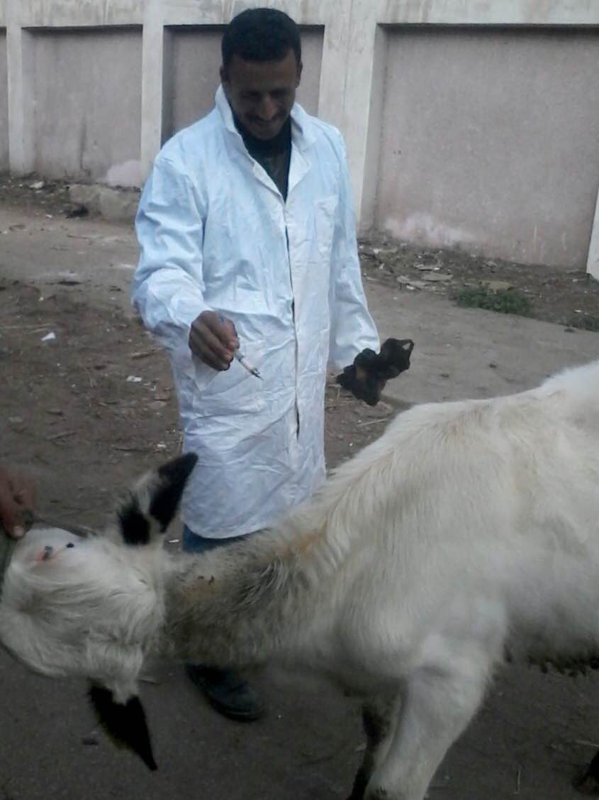  قوافل طبية للمناطق الريفية لتحصين الماشية