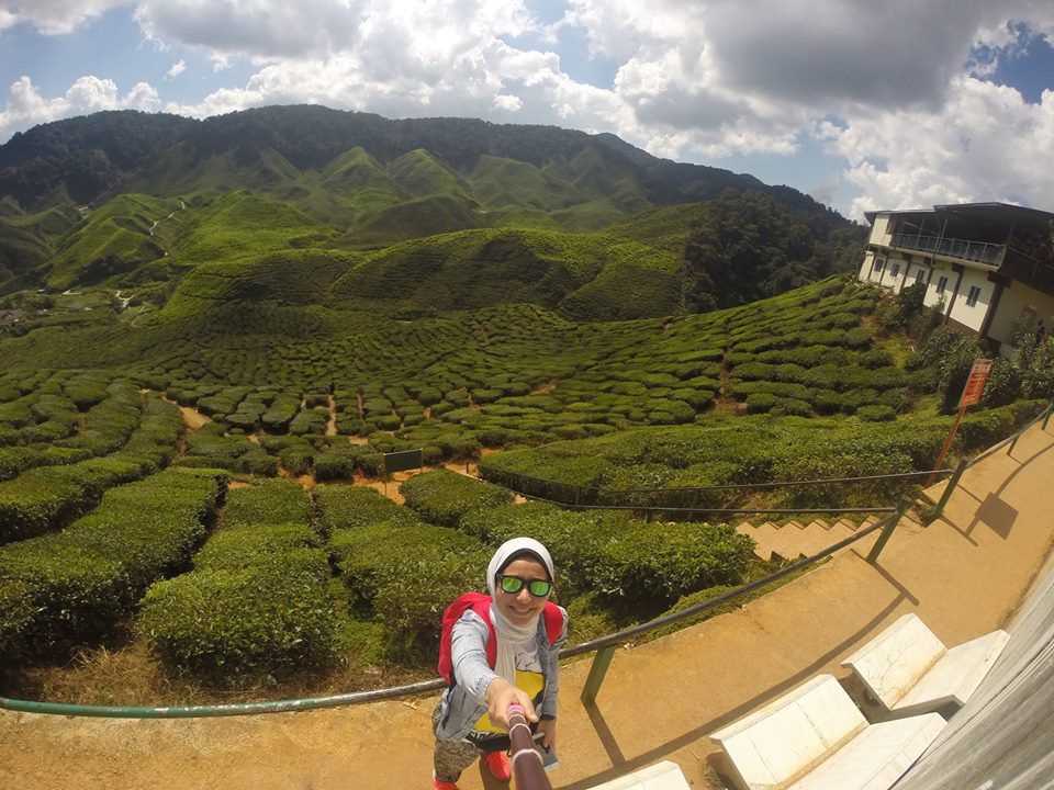 كاميرون هاى لاند - مزارع الشاى - ماليزيا