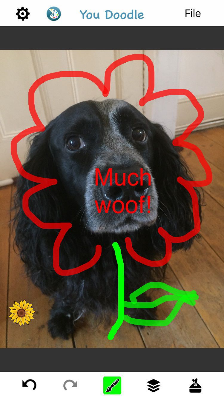 you doodle