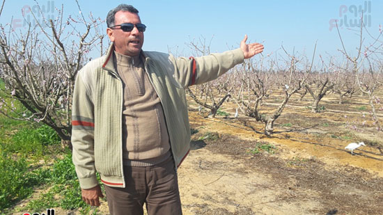 عبد الرحمن صالح صاحب مزرعة تم إزالة الرمال منها مؤيد للمحاجر