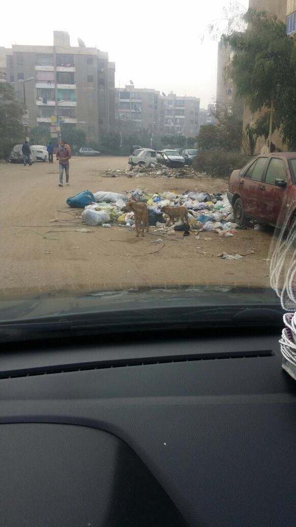 تراكم القمامة بمساكن الضباط بزهراء مدينة نصر (1)