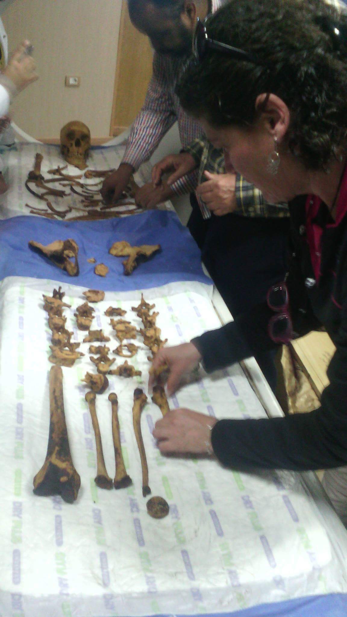 الفريق الأثرى يرتب عظام المومياء