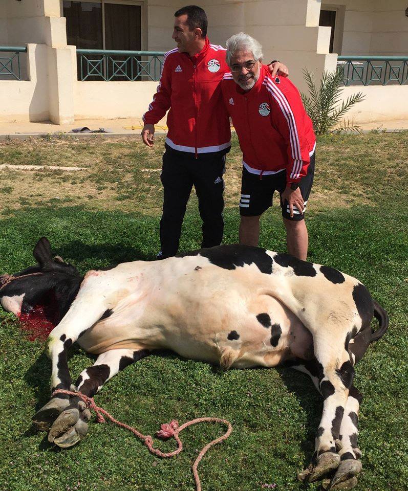 أحمد ناجي مدرب حراس مرمى مننخب مصر يذيح عجلا