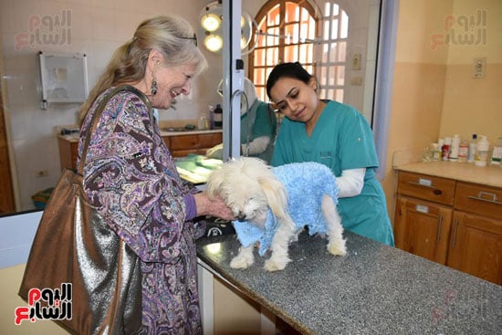 سعادة أجنبية مقيمة بالأقصر خلال فحص كلبها بالمستشفى
