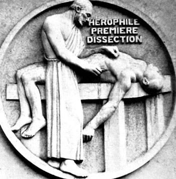 هيروفيلوس  يقوم بتشريح جثة - كلية الطب الجديدة فى باريس