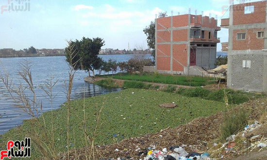         المنازل داخل نهر النيل والتعديات صارخة
