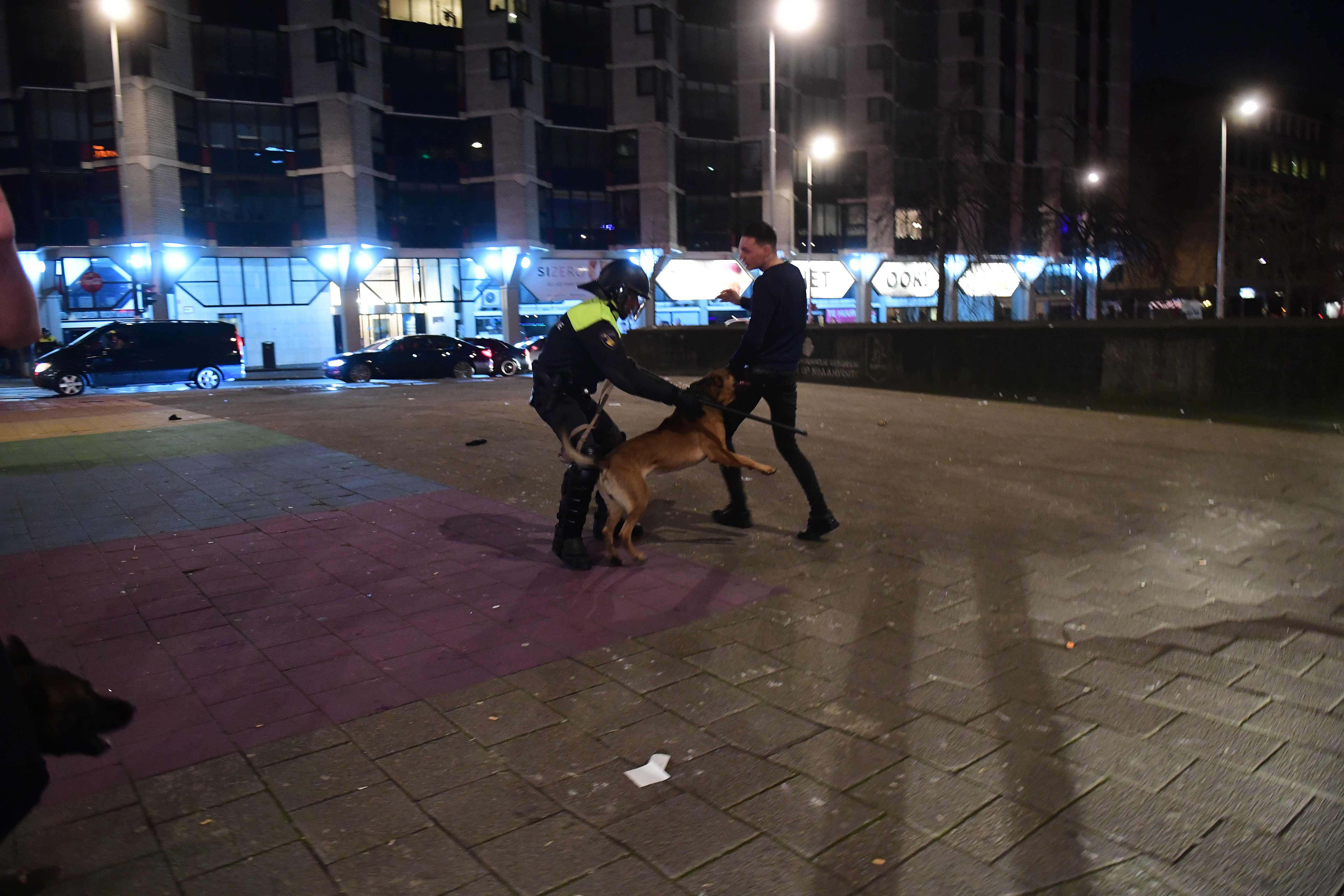 كلب شرطة يعكر أحد أنصار أردوغان فى هولندا