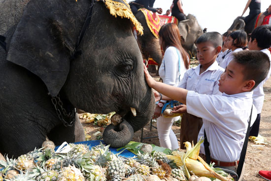 الأطفال يداعبون الفيلة خلال اليوم الوطنى للفيل