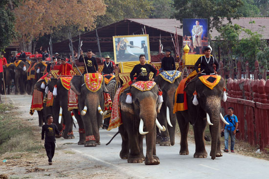 مسيرة للأفيال فى تايلاند احتفالا باليوم الوطنى