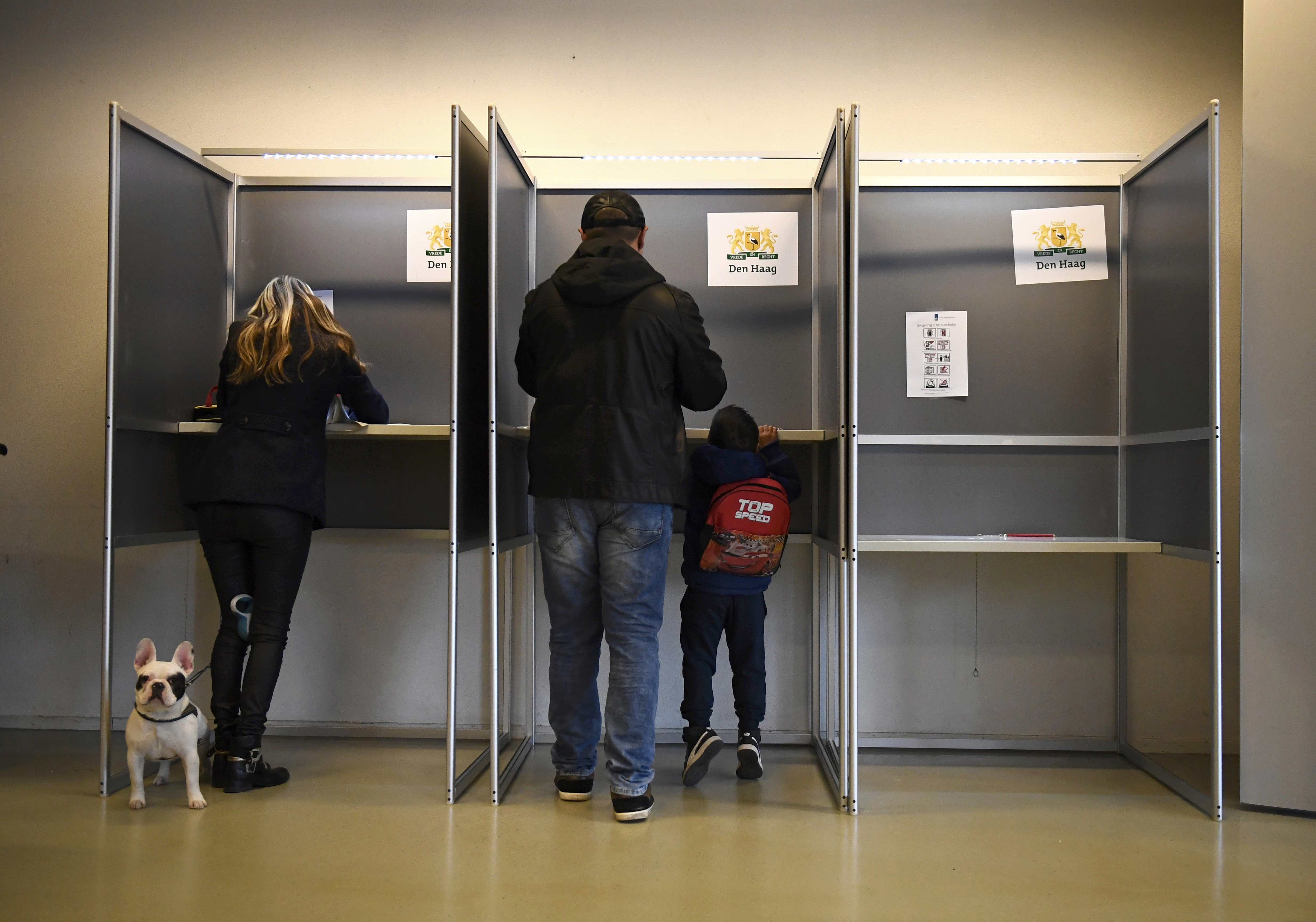 تصويت المواطنين فى الانتخابات البرلمانية الهولندية