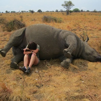 موظفة بمحمية طبيعية تحزن على وحيد القرن بعد وقوعه ضحية للصيادين