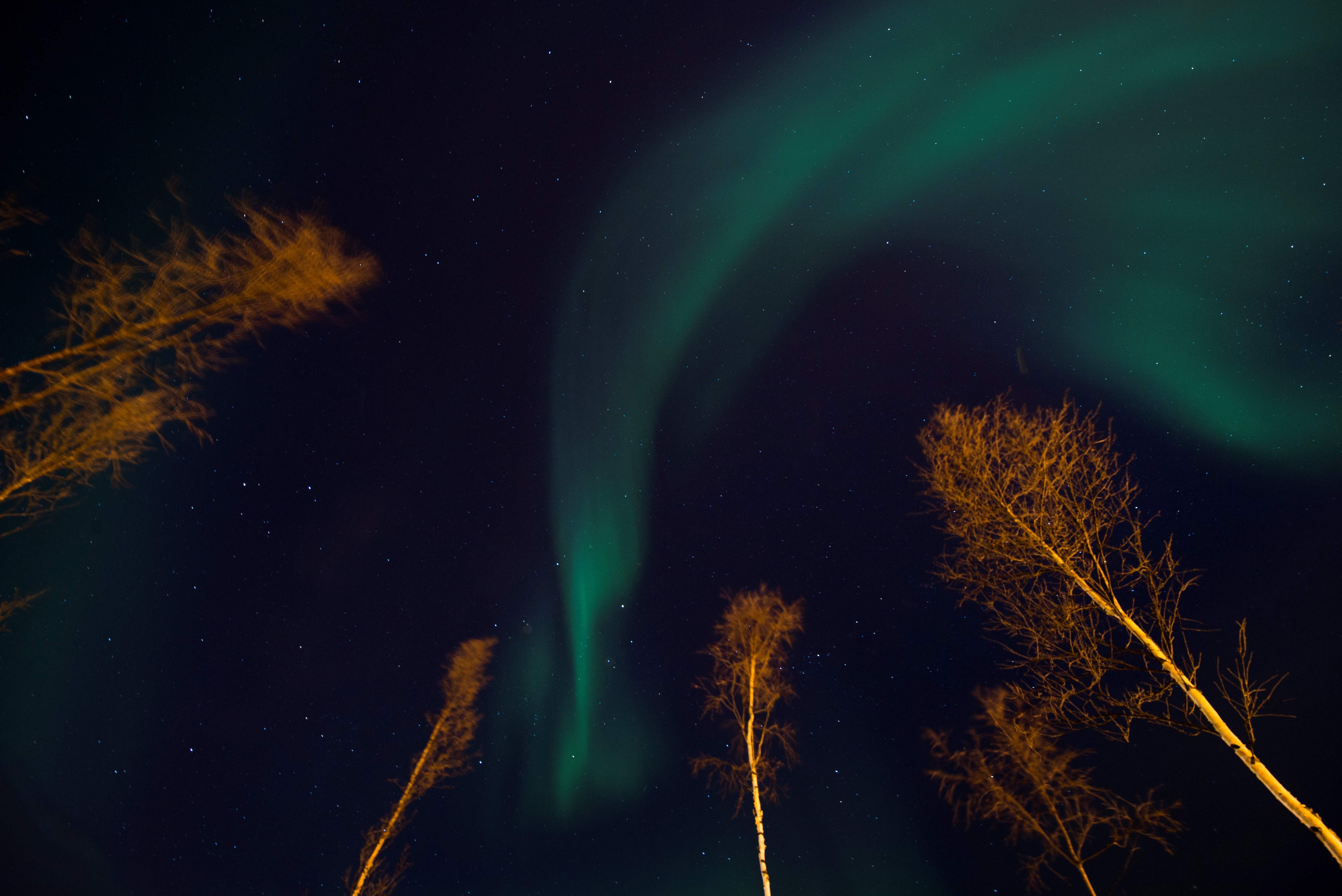 اللون الأخضر يغير سماء النرويج