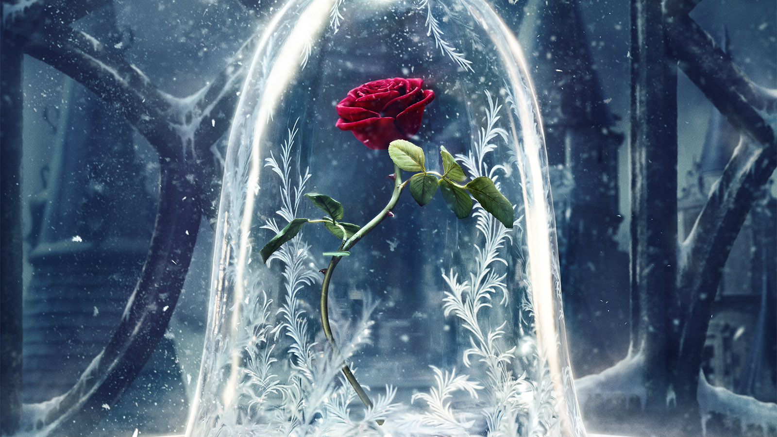 Beauty and the Beast  (4)