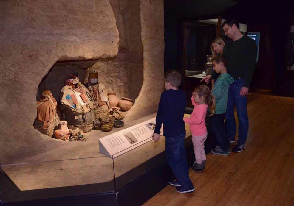 عرض المومياوات المصرية فى متحف التاريخ الطبيعى  ف أمريكامبم