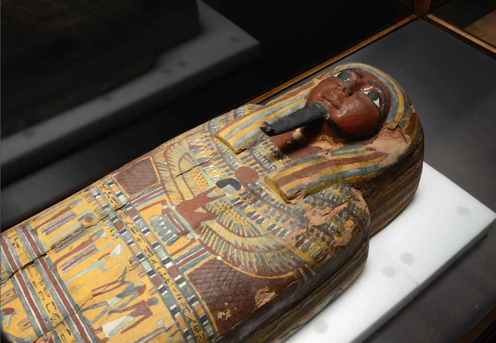 عرض المومياوات المصرية فى متحف التاريخ الطبيعى  ف أمريكا3