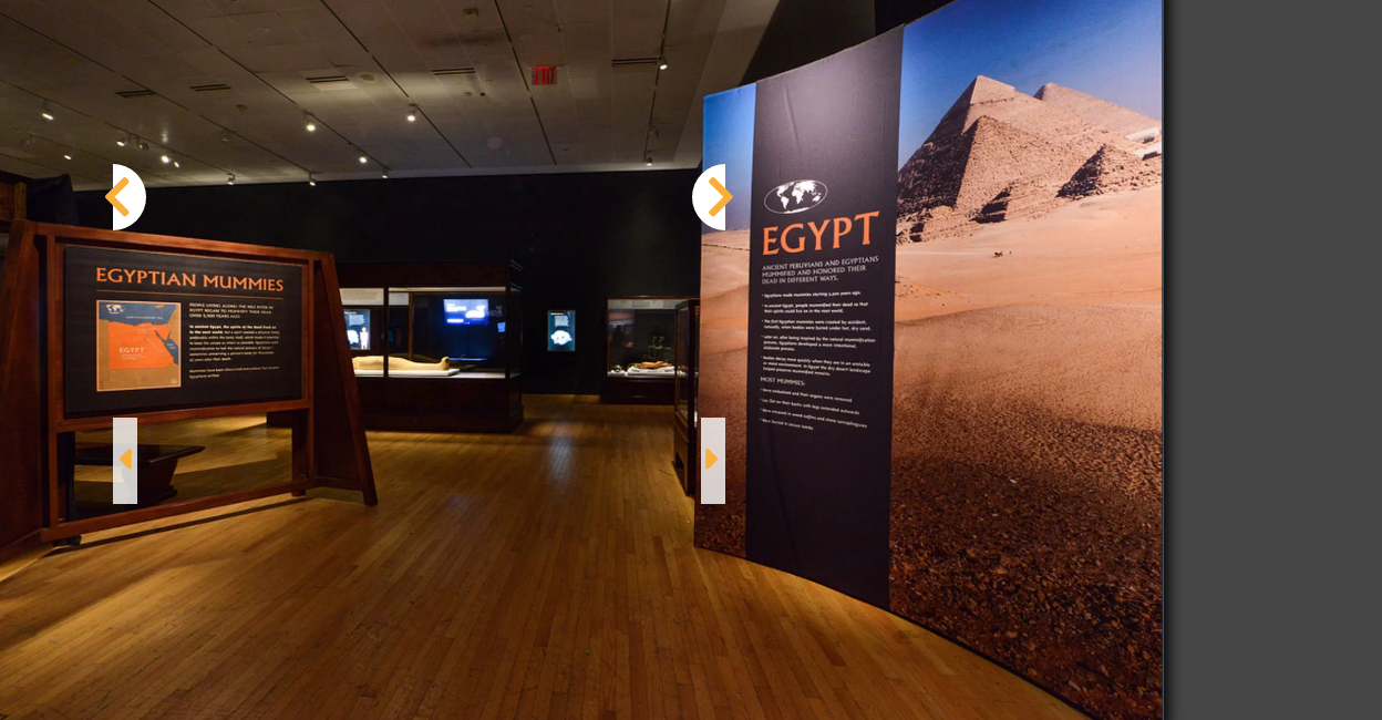 عرض المومياوات المصرية فى متحف التاريخ الطبيعى  ف أمريكا (2)