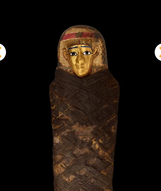 عرض المومياوات المصرية فى متحف التاريخ الطبيعى  ف أمريكا