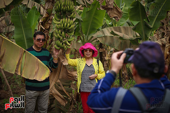 السياح سعداء داخل جزيرة الموز بالأقصر