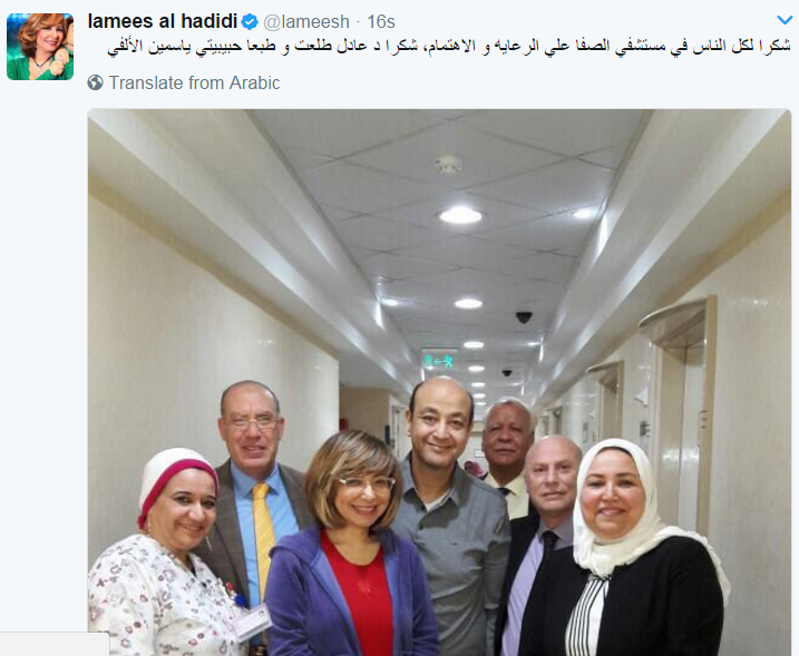 لميس الحديدى