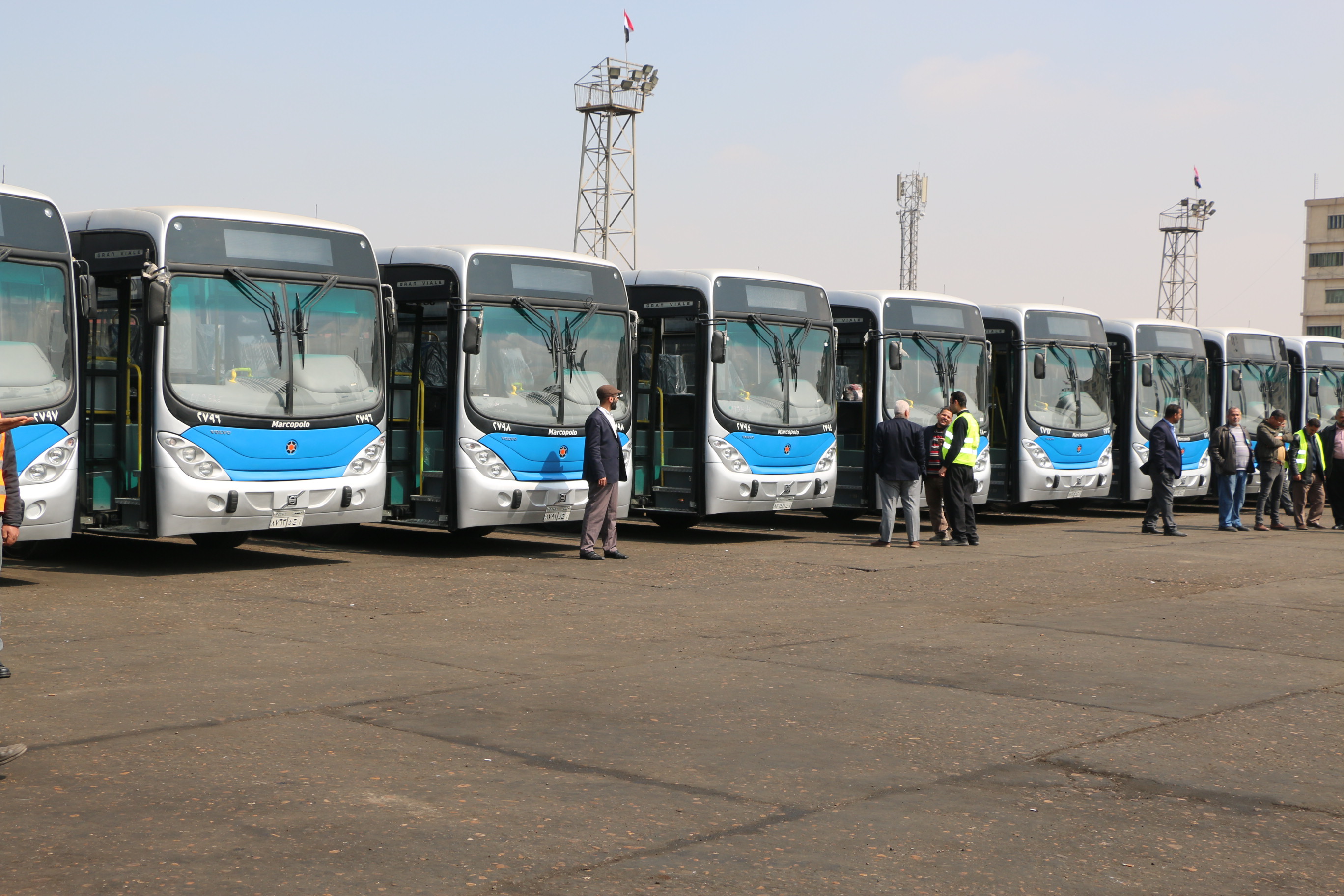 50 اتوبيس جديد لاستكمال تطوير منظومة هيئة النقل العام (3)