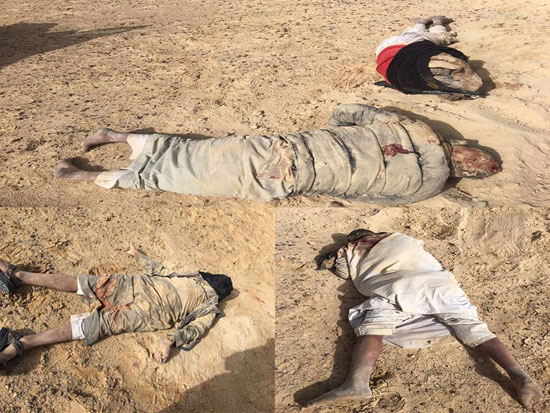 مقتل 15 إرهابيا فى سيناء