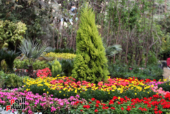 معرض الزهور حديقة  (61)حديقة الأورمان  