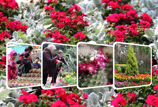 وزير الزارعة المصرى يفتتح معرض الزهور بحديقة الأورمان