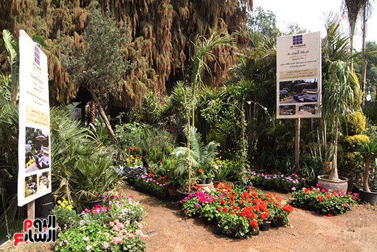 معرض الزهور حديقة  (69)حديقة الأورمان  