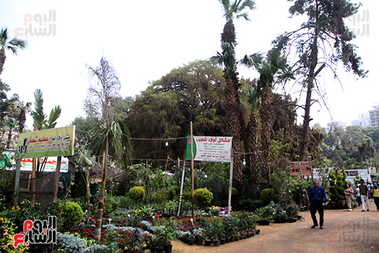 معرض الزهور حديقة  (68)حديقة الأورمان  