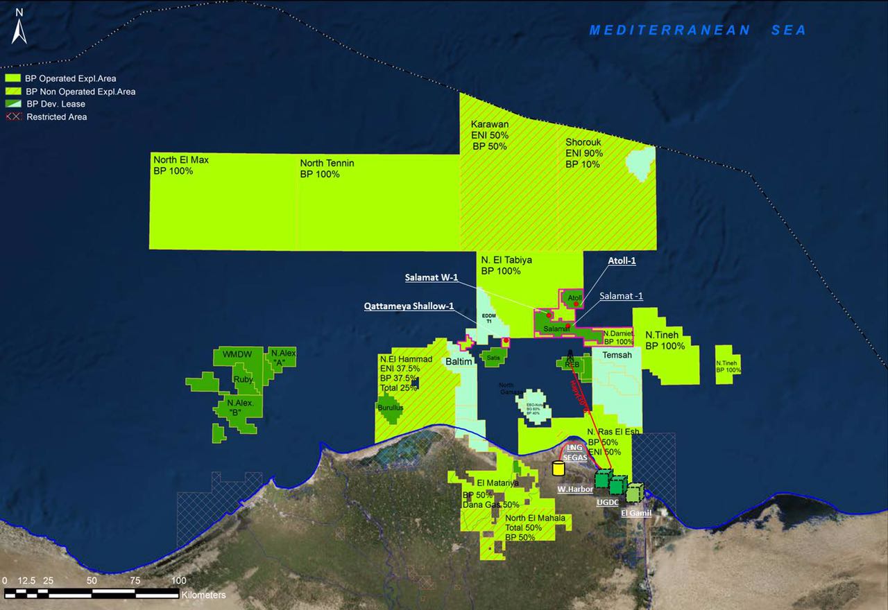 صورة توضح مكان كشف الغاز بالبحر المتوسط لشركة بى بى