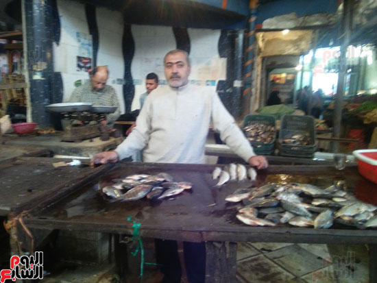 ابراهيم المصري بائع سمك
