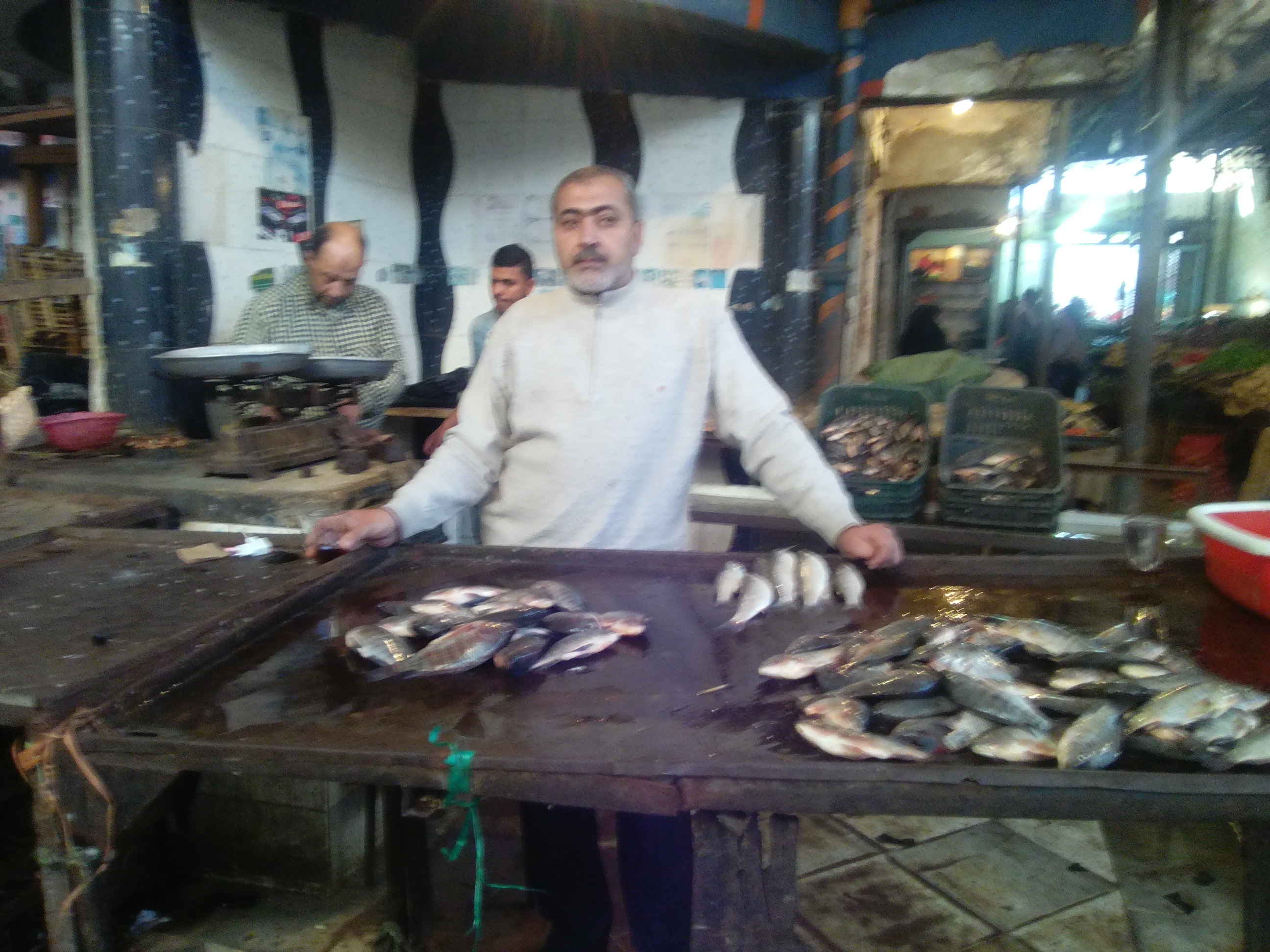 2- ابراهيم المصري بائع سمك